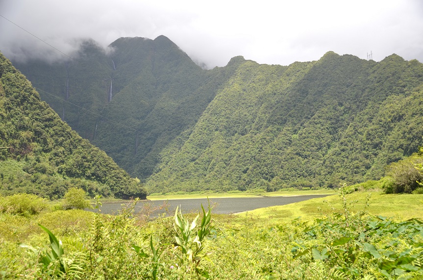 BALADE AU GRAND ETANG DE SAINT-BENOÎT