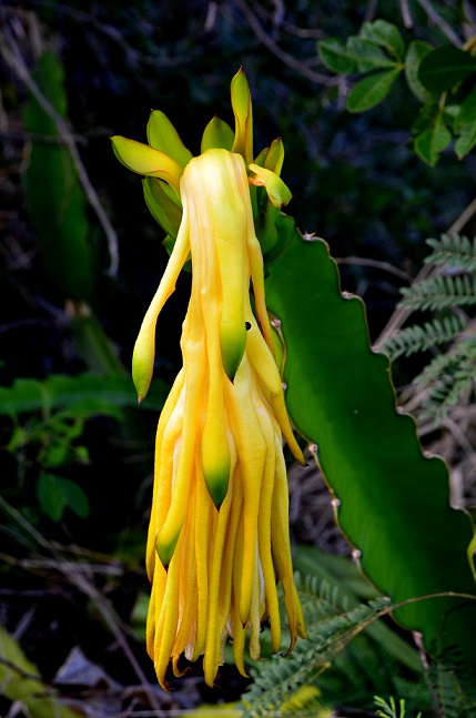 DE LA GRANDE CHALOUPE AU COLORADO