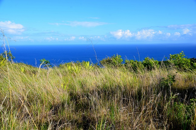 DE LA GRANDE CHALOUPE AU COLORADO