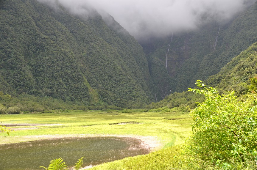 BALADE AU GRAND ETANG DE SAINT-BENOÎT
