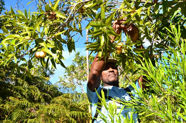 DE LA GRANDE CHALOUPE AU COLORADO