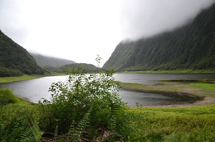 BALADE AU GRAND ETANG DE SAINT-BENOÎT