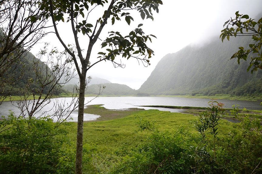 BALADE AU GRAND ETANG DE SAINT-BENOÎT
