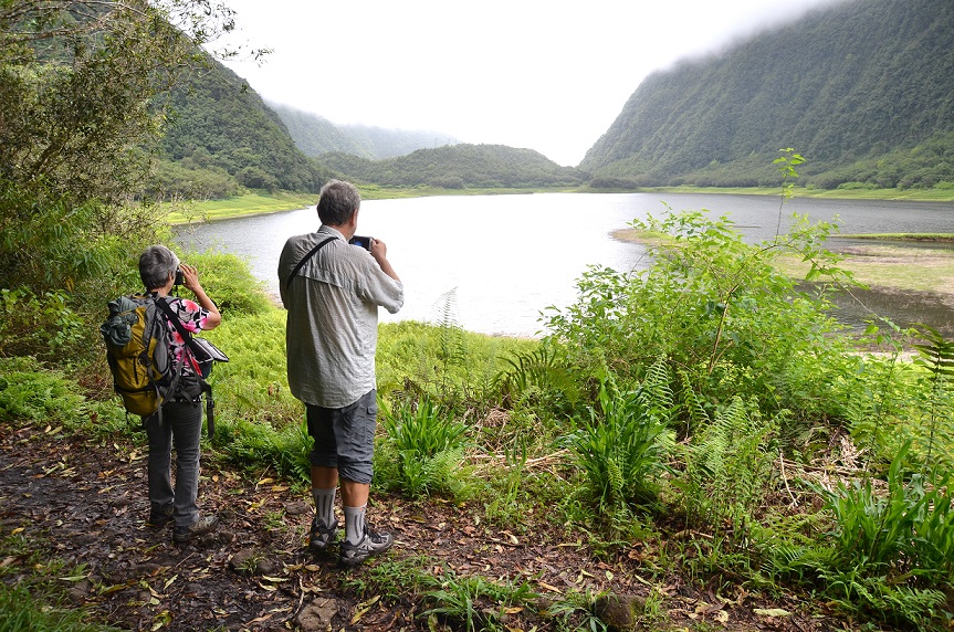 BALADE AU GRAND ETANG DE SAINT-BENOÎT