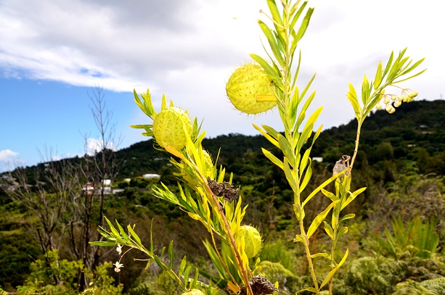 DE LA GRANDE CHALOUPE AU COLORADO