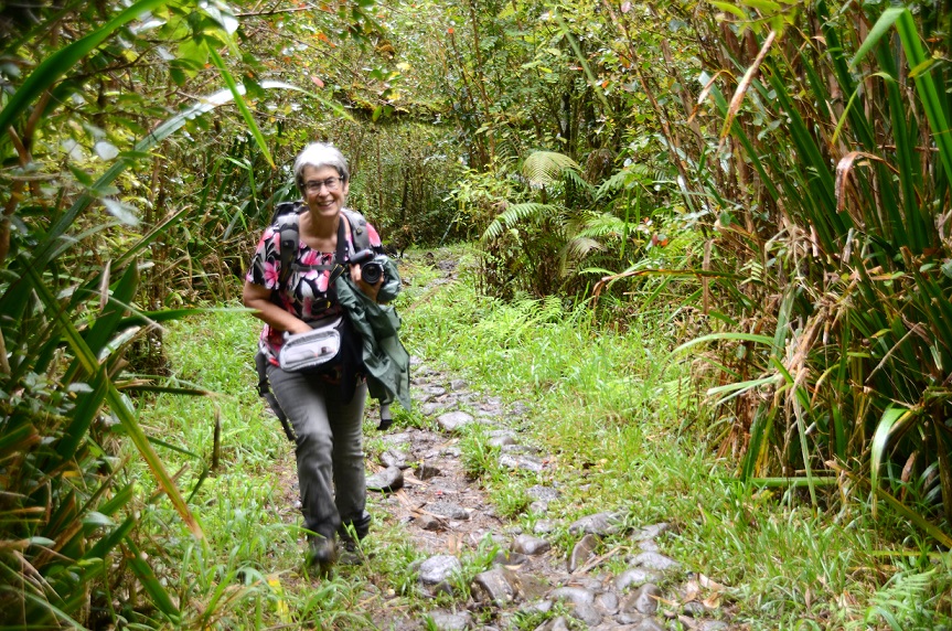 BALADE AU GRAND ETANG DE SAINT-BENOÎT