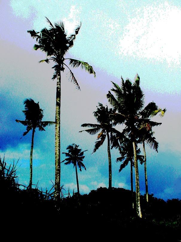 L'île des arabesques