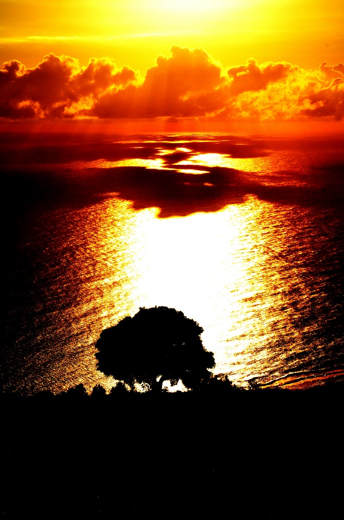 L'île des arabesques