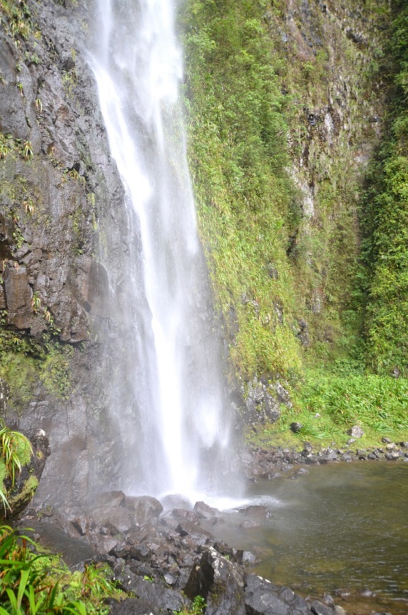 BALADE AU GRAND ETANG DE SAINT-BENOÎT