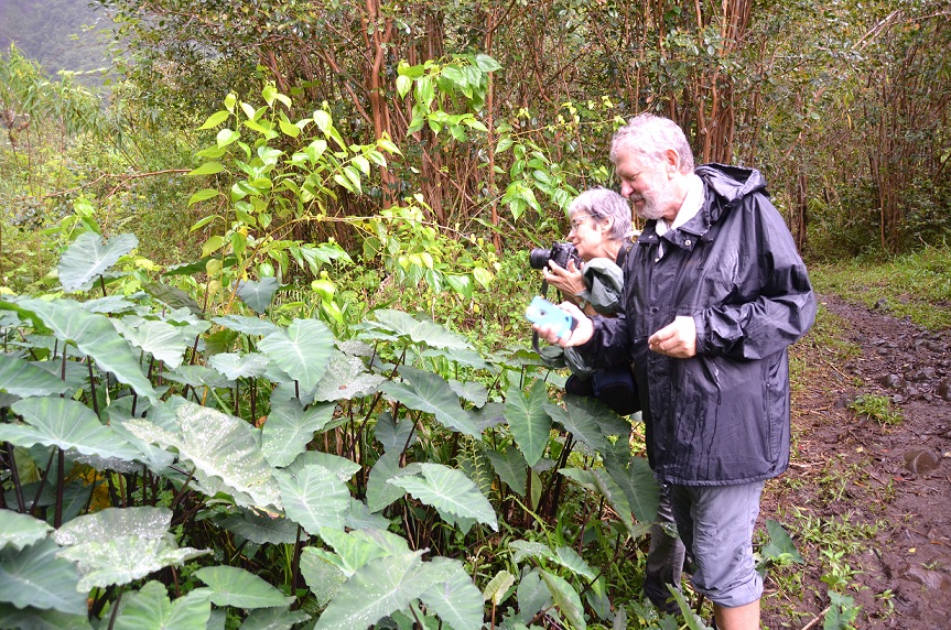 BALADE AU GRAND ETANG DE SAINT-BENOÎT