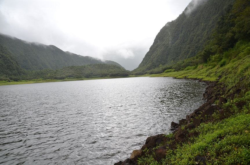 BALADE AU GRAND ETANG DE SAINT-BENOÎT
