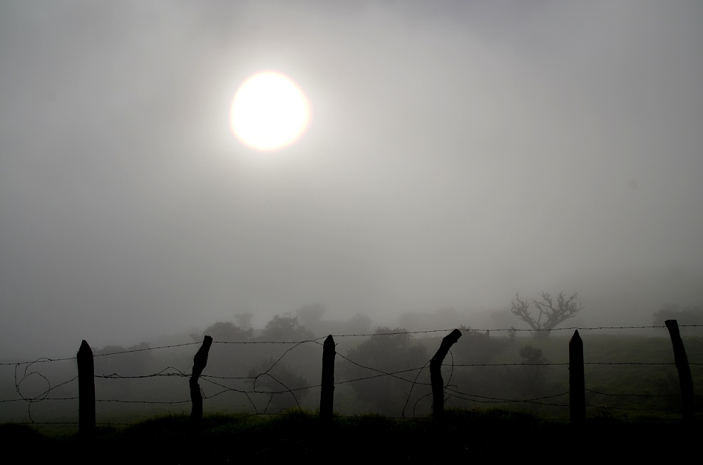 LE VOLCAN OU LA FUSION DES IMAGES (2014)