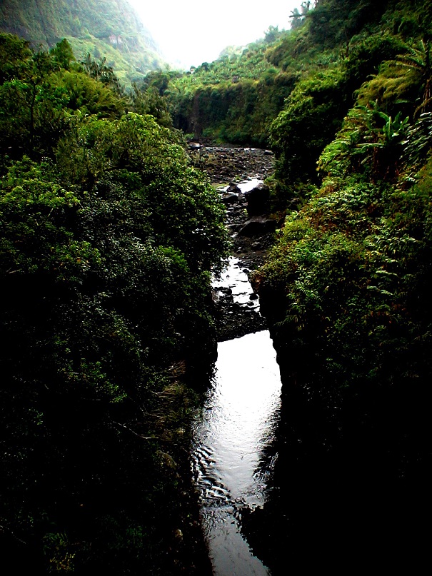 L'île des arabesques