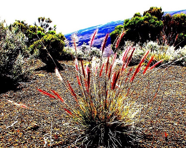 LE VOLCAN OU LA FUSION DES IMAGES (2014)