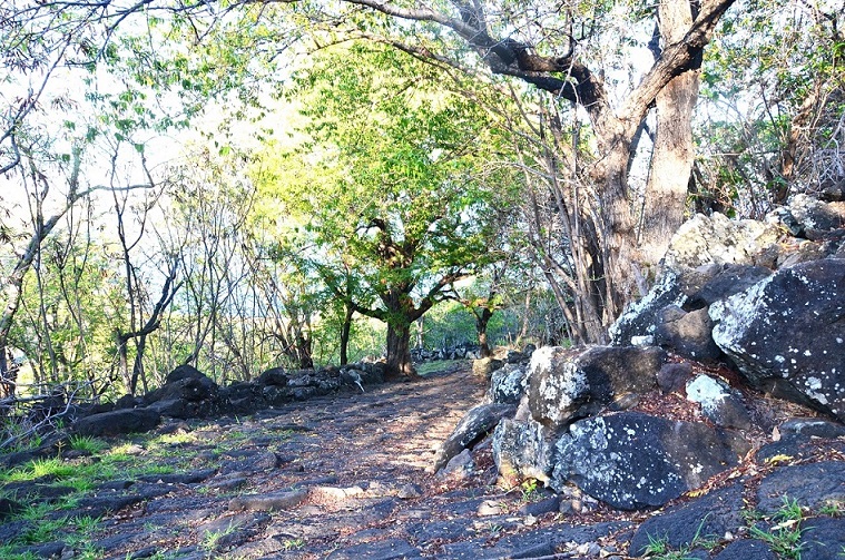 LE CHEMIN DES ANGLAIS