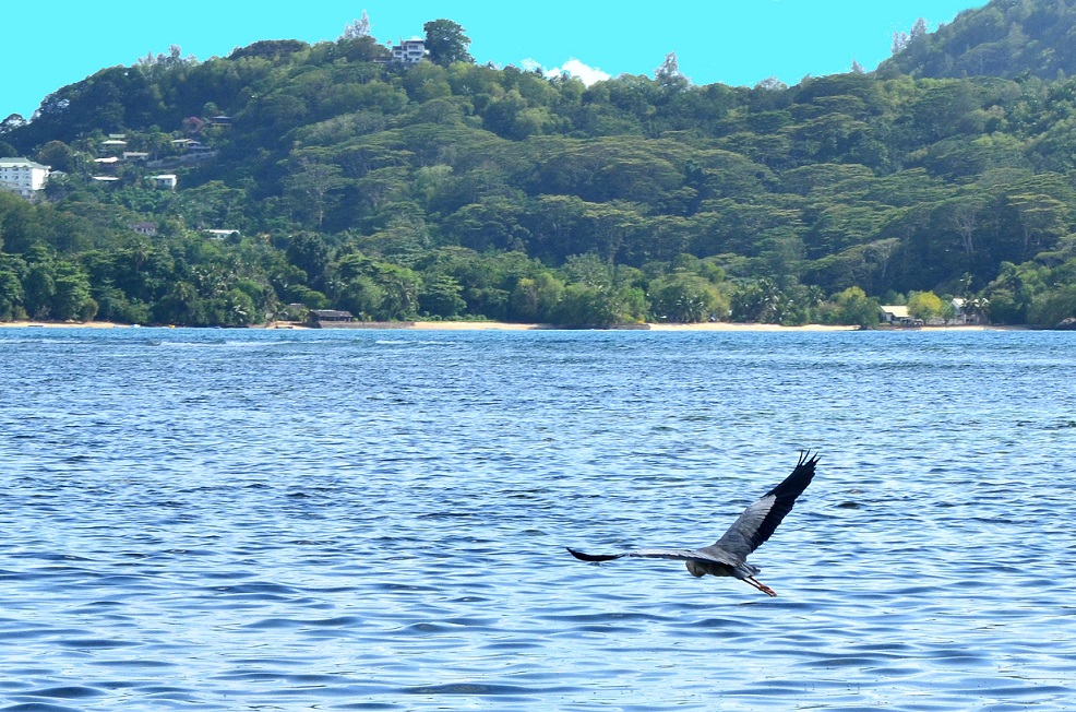 UNE CARTE POSTALE DES SEYCHELLES